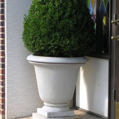 green topiary in footed urn